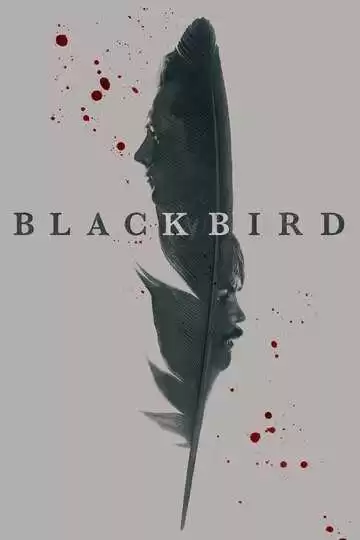 Чёрная птица - сериал, 2022 (постер)