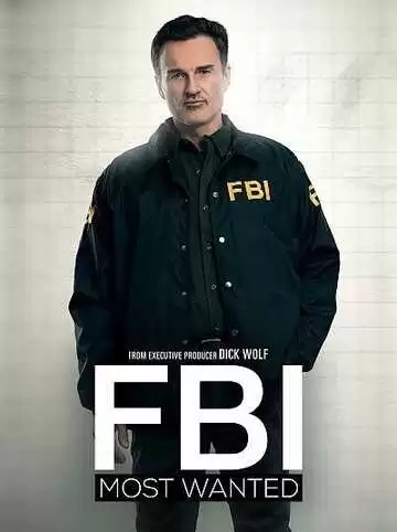 ФБР: Самые разыскиваемые преступники - сериал, 2020-2023 (постер)